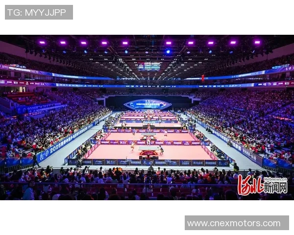 乒乓球战术排行榜揭晓重庆乒乓球队荣登第九名引发关注 乒乓球战术排行榜揭晓重庆乒乓球队荣登第九名引发关注