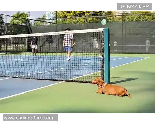 南京网球队在锦标赛中的战术运用与表现分析探讨 南京网球队在锦标赛中的战术运用与表现分析探讨