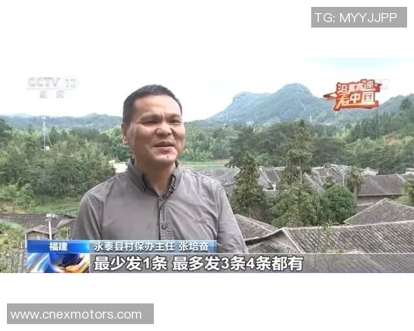 成都乒乓球队的速度之谜:探寻乒乓球背后的激情与技巧 成都乒乓球队的速度之谜:探寻乒乓球背后的激情与技巧