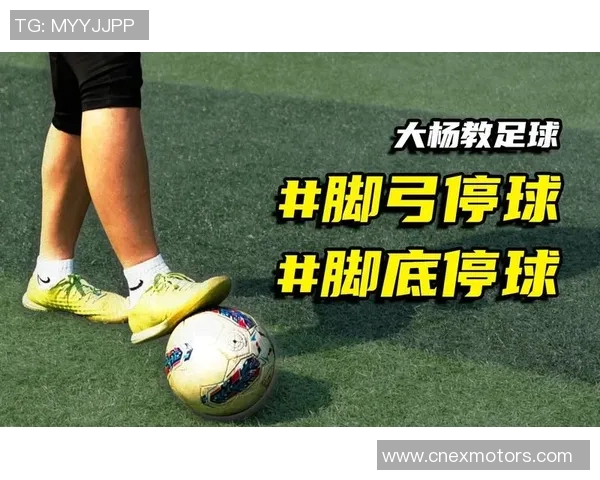 足球明星踢法全解析视频教你掌握技巧与风格提升球技水平 足球明星踢法全解析视频教你掌握技巧与风格提升球技水平