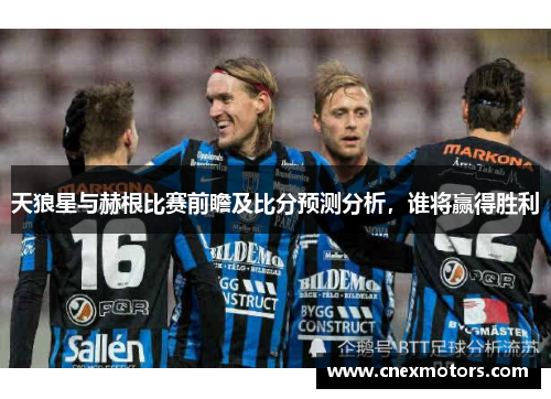 天狼星与赫根比赛前瞻及比分预测分析，谁将赢得胜利